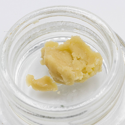 Studio 54 - THCa Live Rosin