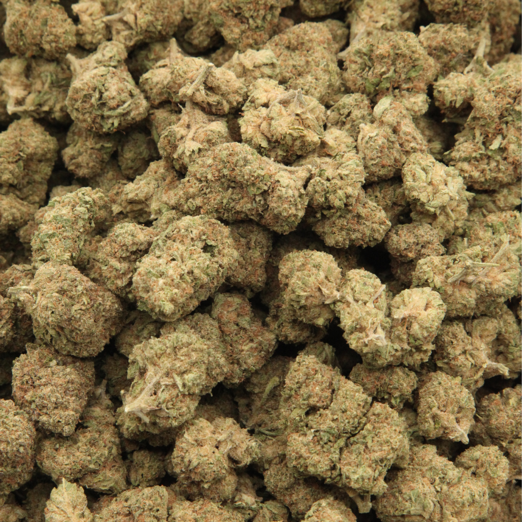 THCa Flower House Choice Subscription
