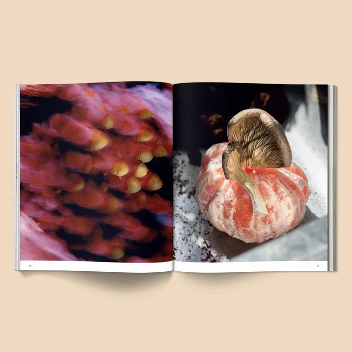 Broccoli Spores: Magical Mushroom Photography Book