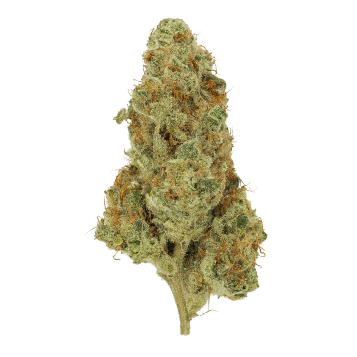 Tallymon THCa Flower