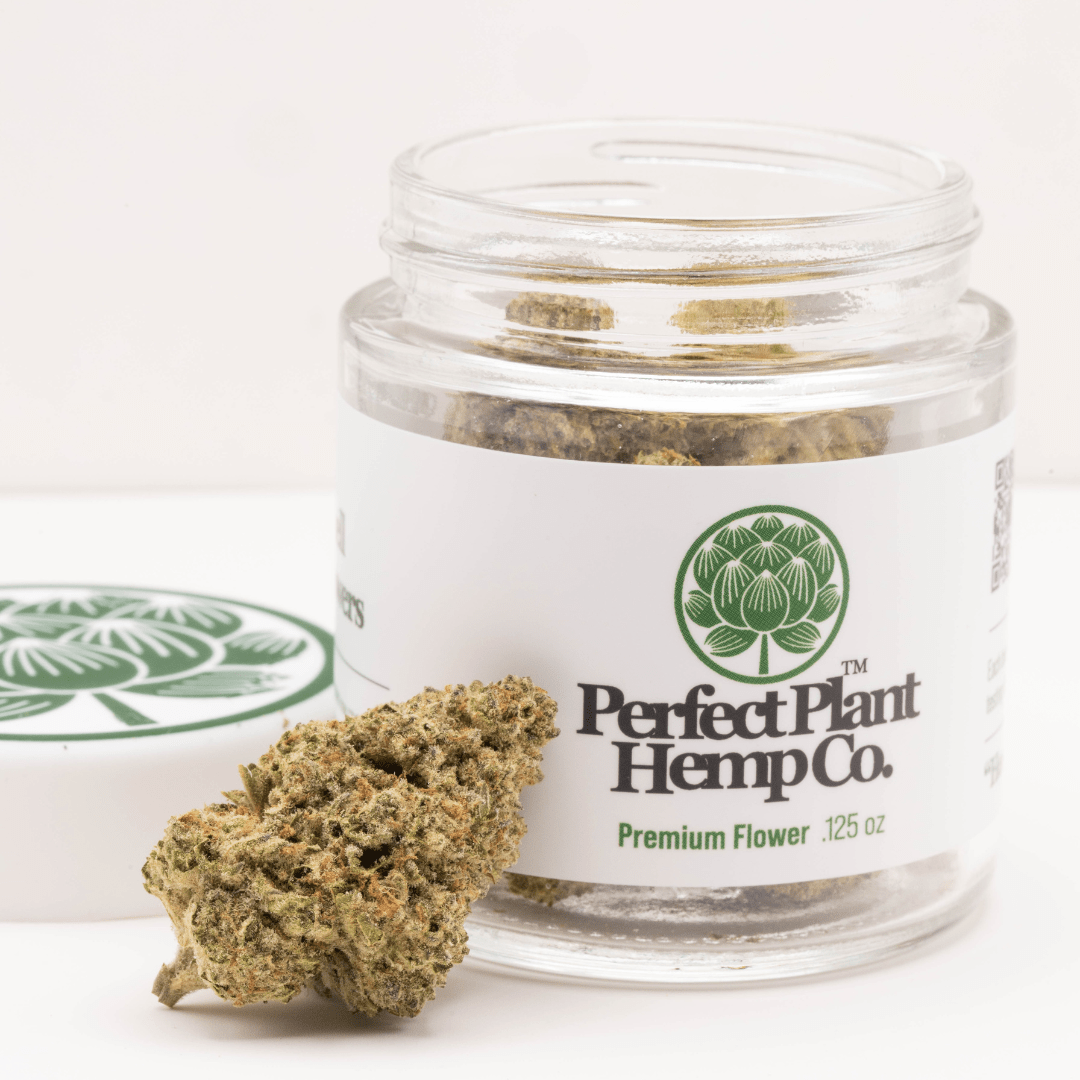 Biscotti Pancakes THCa Flower by Perfect Plant