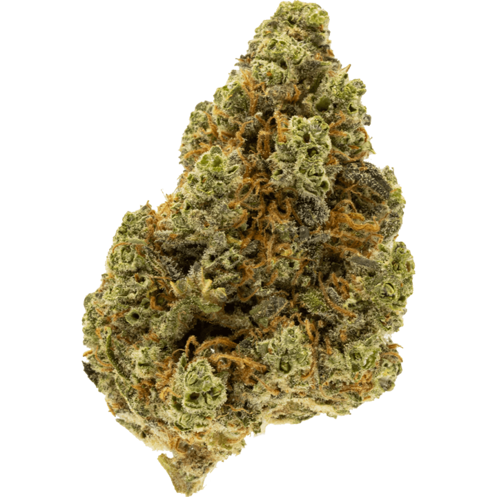 Half Baked (CBD)